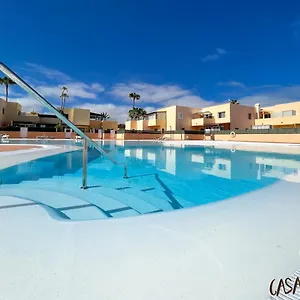 Delfines Corralejo